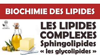 Biochimie des Lipides Complexes  les Glycolipides [upl. by Desimone772]