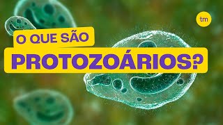 O que são PROTOZOÁRIOS [upl. by Cartwell]