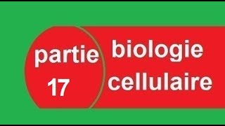 cours biologie cellulaire partie 17 réticulum endoplasmique  البيولوجيا بالدارجة [upl. by Osbert188]