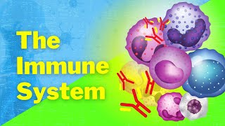 An Introduction to the Immune System [upl. by Munn]