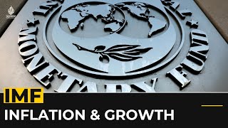 IMF forecasts continued high inflation in 2024 [upl. by Salomone]