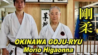 An incredible Karate Master in Okinawa Morio Higaonna [upl. by Gusba]