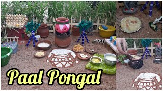 Paal Pongal  How to make pongal in tamil  Village style Pot Pongal  Gomathy Mini Cooking  Tamil [upl. by Yalhsa]