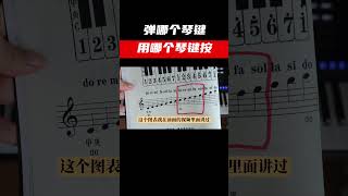 入门级：弹哪个琴键？用哪个手指弹？ [upl. by Stetson]