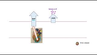 Bulk Flow and Involved Pressures [upl. by Yllor]