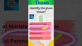 Parenchyma  Plant tissues  Tissues  Class 9 Science  shorts [upl. by Claribel470]