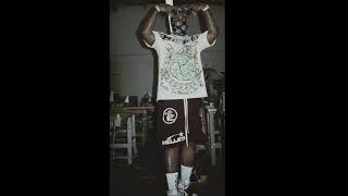 FREE drakeo the ruler type beat 2023  quotknock n flockquot [upl. by Cathy]