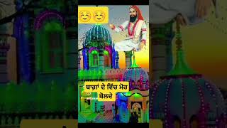 ਮੇਰੇ ਸਤਿਗੁਰ ਦੇ ❣️☺️🙏🌹 punjabi shortsvideo jaipeeradi [upl. by Vickie578]