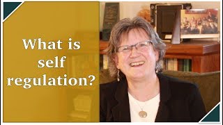 What is Self Regulation  feat Jane Ellison LMFT IMH E® [upl. by Ahsram]