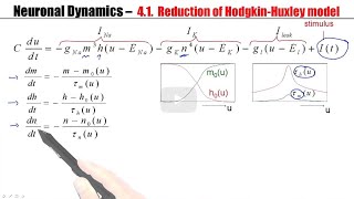 CNS41  From Hodgkin Huxley to 2D [upl. by Rocco]