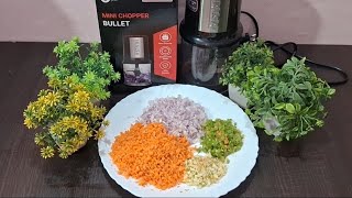 Inalsa Mini Chopper Bullet Review  How To Chop Vegetables In Electric Mini Chopper [upl. by Macfadyn]