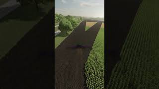 Plowing  Farming Simulator 22 [upl. by Pattie]