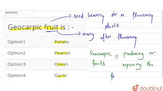 Geocarpic fruit is    12  NEET  BIOLOGY  NEET PREVIOUS YEAR YEARWISE  CHAPTERWISE  Dou [upl. by Tinaret]