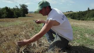 GAEC de La Baronnesse agriculture de conservation [upl. by Stover489]