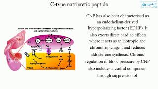 Ctype natriuretic peptide [upl. by Welbie]