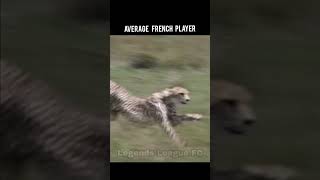 Average mentality pt3 legendsleaguefc france mbappe edit joke [upl. by Adlaremse]