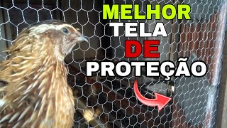 MELHOR TELA DE PROTEÇÃO CONTRA ENTRADA DE GATOS RATOS E GAMBÁS NO SEU CRIATÓRIO [upl. by Tallulah]