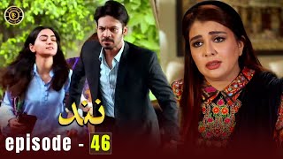 Nand Episode 46  Minal Khan amp Shehroz Sabzwari  Top Pakistani Drama [upl. by Eoz867]