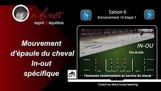 Améliorer le geste des antérieurs du cheval coachendirecthorselearning [upl. by Areip99]