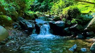 Relaxing River Sounds Mountain Stream Waterfall Gentle Stream for sleep study insomnia meditation [upl. by Nilra921]