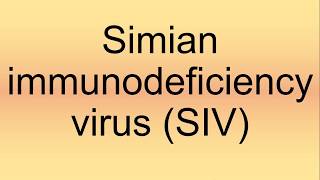 Simian Immunodeficiency Virus SIV Pronunciation  How to Say  How to Pronounce [upl. by Ponzo]