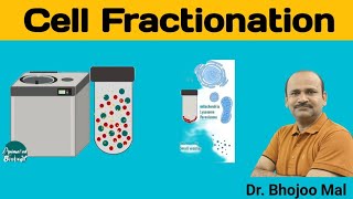 Cell Fractionation  Class 11 Biology  by Dr Bhojoo Mal [upl. by Ellekim]