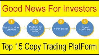 Good News For Investors  Top 15 Copy trading Platforms  Tani Forex Websites tutorial in Urdu Hindi [upl. by Rutherford]