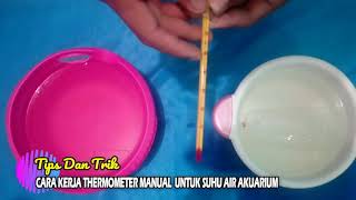 CARA KERJA THERMOMETER MANUAL UNTUK SUHU AIR AKUARIUM [upl. by Eellah]