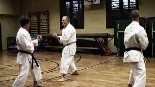 Kumite Training 1 w Sensei Gyula Büki 7th Dan Shotokan Karate [upl. by Aihsekel302]