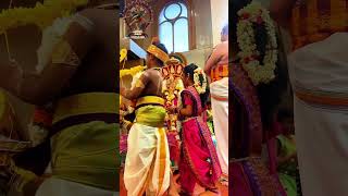 16th Day Annual Festival 2024 Ealing Amman Temple  Part4 [upl. by Eilyk]