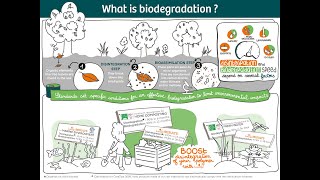 What is biodegradability [upl. by Latsyrhk173]