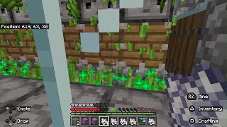 Minecraft Bones To bonemeal Sugarcane to emeralds part 2 [upl. by Miza]