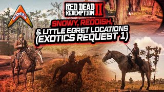 RDR2  Snowy Reddish amp Little Egret Locations Exotics Request 1 [upl. by Forrer]