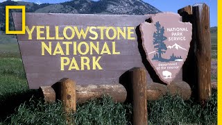 A Brief History of Yellowstone National Park  National Geographic [upl. by Obara]