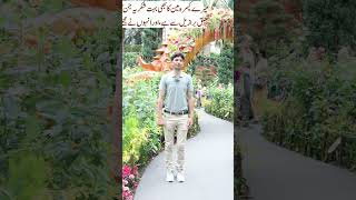 Garden by the bay Singapore Tani Forex motivational video in Urdu and Hindiforexmotivation [upl. by Jorgensen]