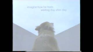 RSPCA  Hong Kong commercial 1996 [upl. by Yramliw151]