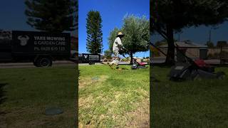 Tackling a Lightly Overgrown front yard lawncare [upl. by Ursi811]