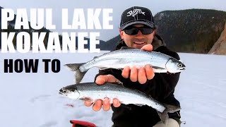 Kokanee Salmon Ice Fishing in British Columbia [upl. by Adihsaar950]