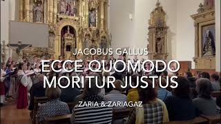 Ecce quomodo moritur justus extract Jacobus Gallus [upl. by Kensell]