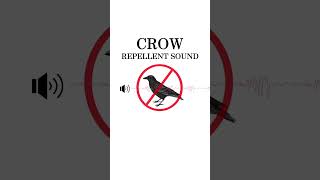 Crow Repellent Sound  Hawk sound and Ultrasonic Waves 20KHz Not compatible with iPhone [upl. by Monjan]