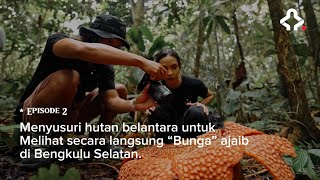 Ekspedisi Wonderland Indonesia Episode 2 Keajaiban Bumi Rafflesia [upl. by Adnara147]