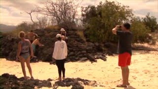 GALAPAGOS Surf Paradise Documentary [upl. by Ihdin879]