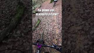 Cosa preferite mtb downhill enduro racing viralvideo perte [upl. by Kerr]