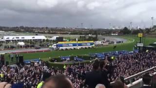 The Horses by Daryl Braithwaite at Cox Plate 2016 [upl. by Searby]