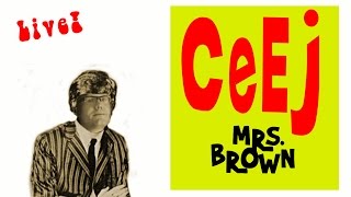 Mrs Brown Hermans Hermits Parody [upl. by Chemesh581]