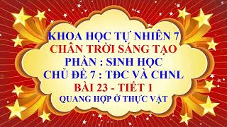 Khoa học tự nhiên 7  Chân trời sáng tạo  Chủ đề 7  Bài 23  Quang hợp ở thực vật  Tiết 1 [upl. by Daffy120]