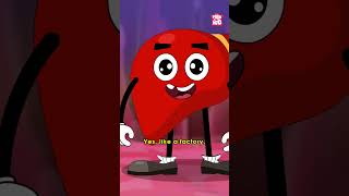 What Does The Liver Do  World Hepatitis day shorts worldhepatitisday liver drbinocsshow [upl. by Lim]