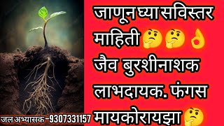 जैव उपयुक्त बुरशीनाशक मायकोरायझा काय आहे त्याचे शेतीला फायदे काय 🤔royalशेतकरी [upl. by Unity]