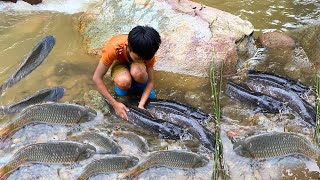 Full video Catch Fish Create Fish Traps go to the market to sell fish in exchange for a puppy [upl. by Merchant]