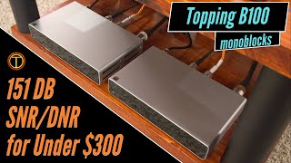 Topping B100 Tangkula Power Mono Amps Review [upl. by Cristi]